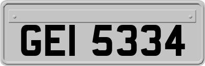 GEI5334