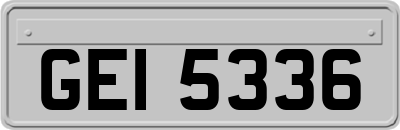GEI5336