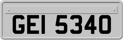 GEI5340