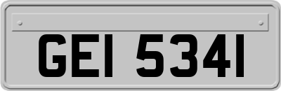GEI5341