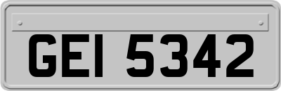 GEI5342