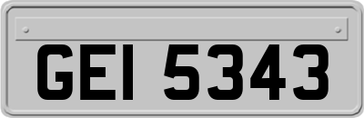 GEI5343