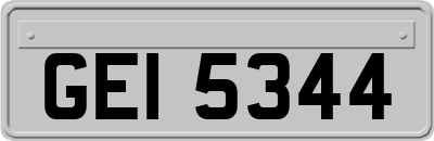 GEI5344