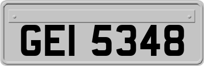 GEI5348