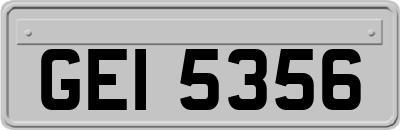 GEI5356