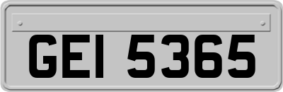 GEI5365