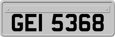 GEI5368