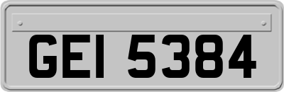 GEI5384