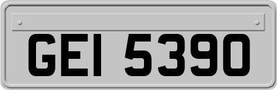 GEI5390
