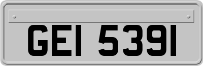 GEI5391