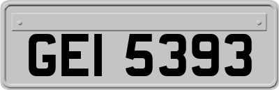GEI5393