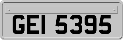 GEI5395
