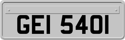 GEI5401