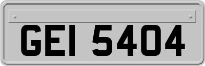 GEI5404