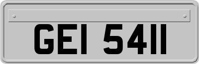 GEI5411