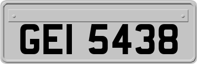 GEI5438