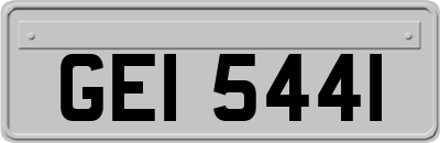 GEI5441