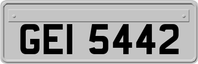 GEI5442