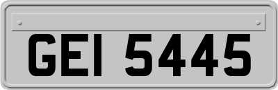 GEI5445