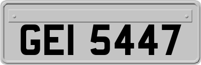 GEI5447