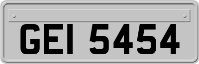 GEI5454