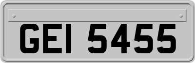 GEI5455