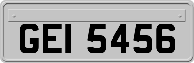GEI5456