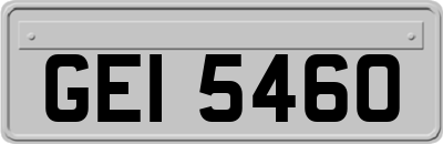 GEI5460