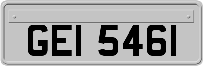 GEI5461