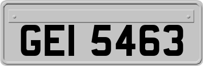 GEI5463