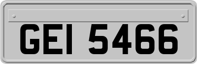 GEI5466