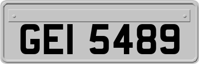 GEI5489