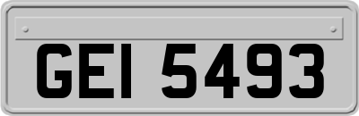 GEI5493