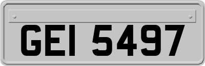 GEI5497