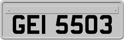 GEI5503