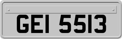 GEI5513