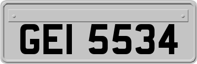GEI5534