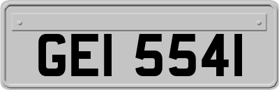 GEI5541