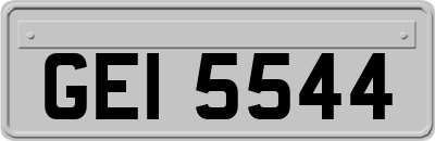 GEI5544