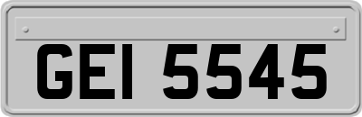 GEI5545
