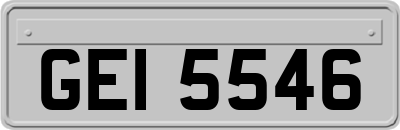 GEI5546