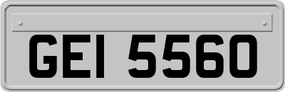 GEI5560