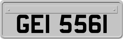 GEI5561