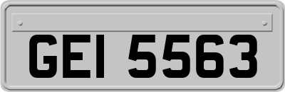 GEI5563
