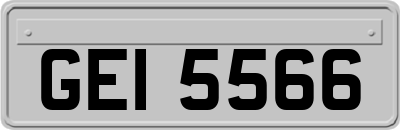 GEI5566