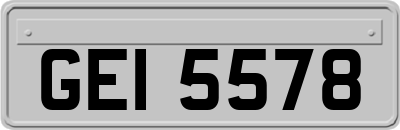 GEI5578