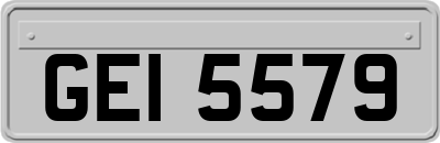 GEI5579