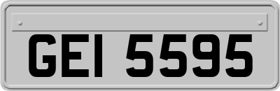 GEI5595