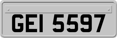 GEI5597