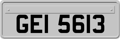 GEI5613